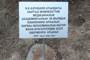 Сотрудники бухгалтерии КГМА посадили елку